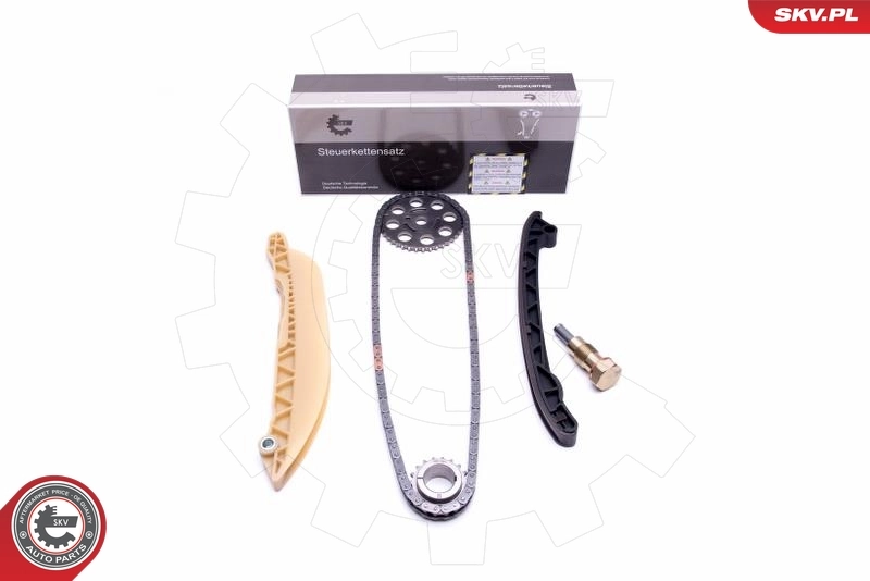 Timing Chain Kit